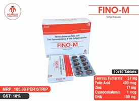 FINO-M